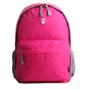 ���޵��賶 WS.8919C (270*410*110mm/22L)