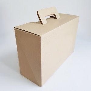 ���̹ڽ� (335*225*130mm)