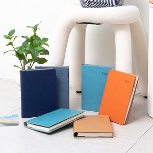 2026 AP13 ������ ���̾ 32��