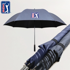 PGA 80�ڵ� ��Ż ����(����)