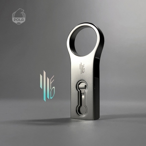 ����(POLA) CA820 USB-C OTG 3.0 3FO (16G~256G) (CŸ�� ����)