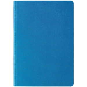 2026�� 25��B ���̷� ���׶� ���ӽ� ������̾