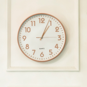 �ö����� ��ü ������ ���� ���ð� 30cm