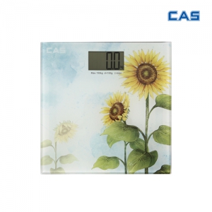 ī�� ������ ü�߰� (HE-34)