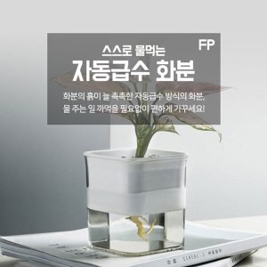 [���] �ڵ��޼�ȭ�� FP