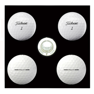 Ÿ��Ʋ����Ʈ PRO V1 4�� ����Ŀ��Ʈ