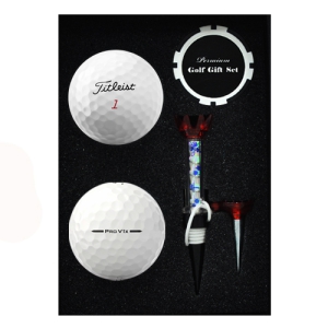 Ÿ��Ʋ����Ʈ PRO V1x 2�� ����Ŀ Ĩ �ڼ�Ƽ��Ʈ