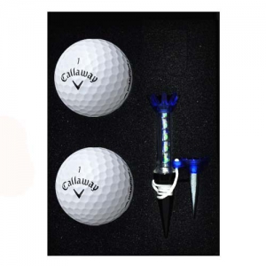 Ķ������ ������ 2�� �ڼ�Ƽ��Ʈ