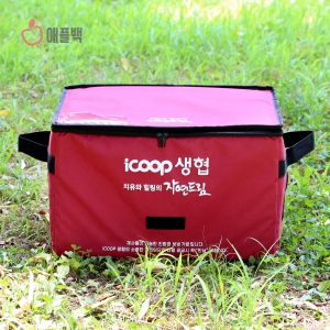 �ڽ��� ����/���ù�_�ڿ��帲 (500x300x300mm)