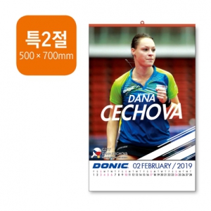 [����-�ֹ�����] 2026�� ������ Ư2�� �޷� (500x700mm)