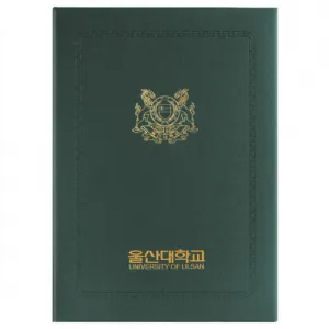 ������ �������̽�-���