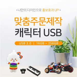 [����Ʈ����] �ֹ����� ĳ����USB 3.0 (16G-256G)