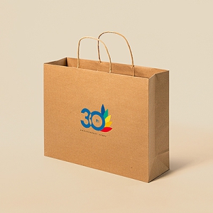 ��ξ� �÷��μ� ���̼��ι�