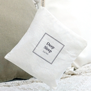 ������ ���� DSS-1006