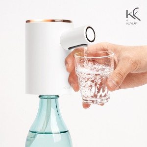 ī�� ȥ���ӽ� ���� ���漭 KF-AD10