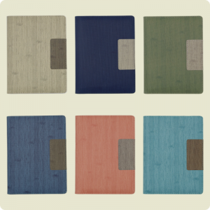 25�� ����׸� �ν����� ���̾