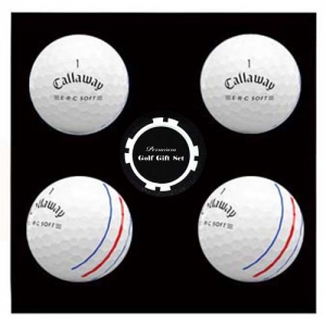 Ķ������ ERC Ʈ����Ʈ�� 4�� ����Ŀ Ĩ��Ʈ