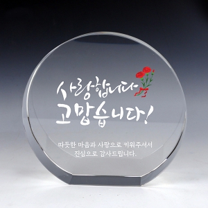 [Ʈ����] ũ����Ż���� ������ TR49 ������ �����