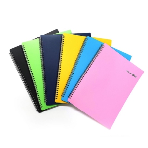 �Ǻ�ȭ�� 40��