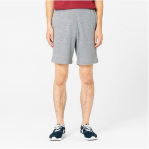 �׸�(�鸮) ���� ����