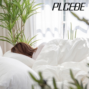 ���� ���� ���е� ����� �̺� ��Ʈ