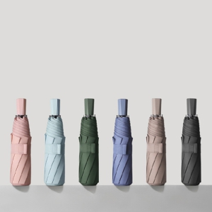 ��ʽ� 8K ���� ����