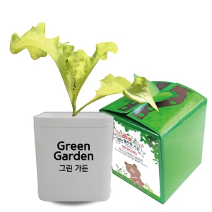 �׸�����