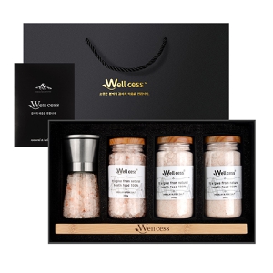 ������ WG-200S ���������ũ��Ʈ ���������ũ�ұ� �׶��δ� ������Ʈ