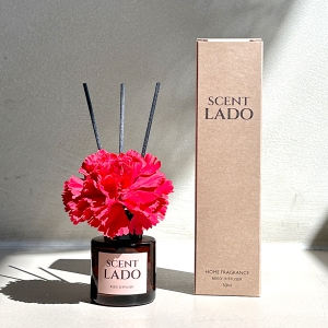 ��Ʈ�� ��ǻ�� ����ī���̼� 50ml