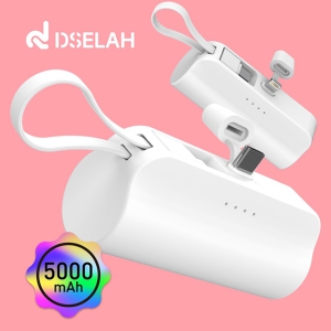 desleah �𼿶� 5000mAh 2 in 1 �̴� ��ŷ�� �������͸�