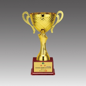 �ݼ���Ʈ����(�׶�����)_G6012-C