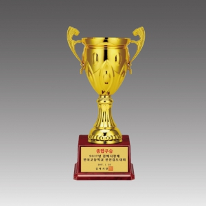 �ö�ƽ �� Ʈ����(���ڶ���)_G6017-A