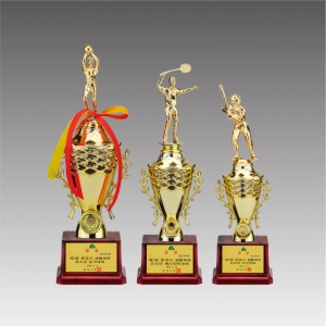 �ö�ƽ �� Ʈ����(����������)_G6029-C / �������� ����