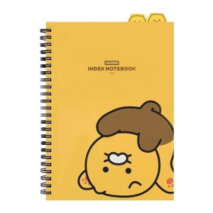 īī�� ����� PP �ε��� ��Ʈ