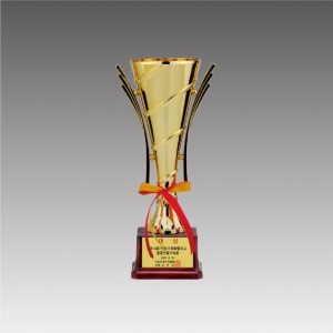 �ö�ƽ �� Ʈ����(Ʈ������)_G6034-B