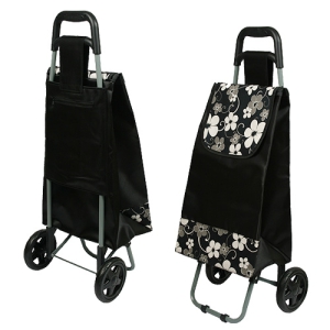 ���� �ɹ��� ���� ĳ���� (330x220x900mm)