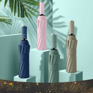 ���丮�� 3�����ڵ�10K �������ָ���(�ϸ�����) ���