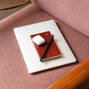 DV PRO mini 48�� ��ø