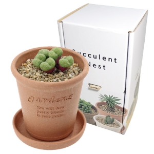 ������ Ʈ��īƬ [����ȭ��+����������+Ư�㼱������]