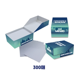 ���� �޸����ڽ� 300��