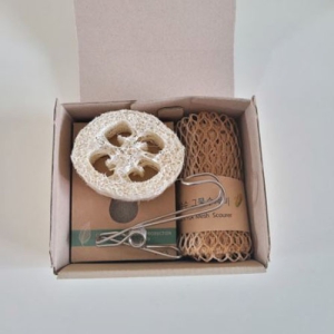 ���ǰ ���� ģȯ�� ���ο��̽�Ʈ 4�� ������Ʈ L