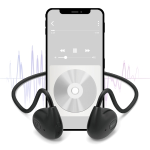 [���̸���] ������ �������� �̾��(IB-N1/1P)