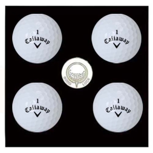 Ķ������ CXR��Ʈ�� 4�� ����Ŀ-3�ǽ�