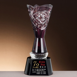 ũ����Ż ���� �� Ʈ���� SAM24T083