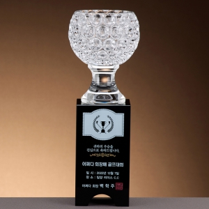 ũ����Ż ���� �� Ʈ���� SAM24T116