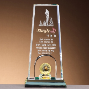 ����Ż Ʈ���� SAM24T210