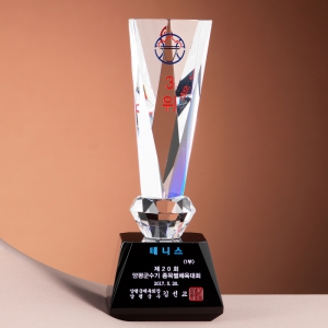 ũ����Ż Ʈ���� SAM24T214