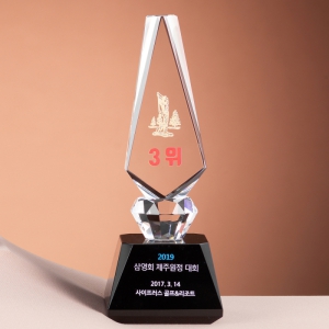 ũ����Ż Ʈ���� SAM24T215