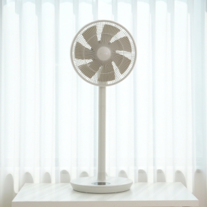 �¸��� BLDC ��ŧ������ ������ ������