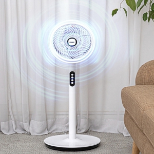 ���ٵ� �����ŧ������ ��ǳ�� 8��ġ